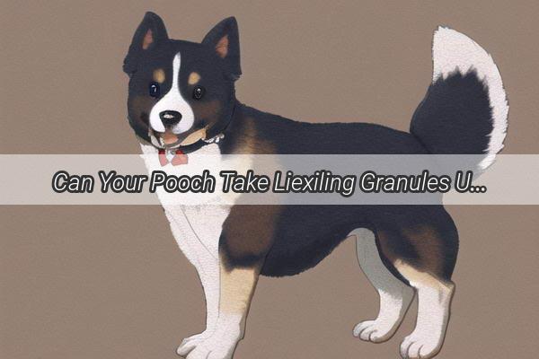 Can Your Pooch Take Liexiling Granules Unveiling the Truth About This Pet Medication